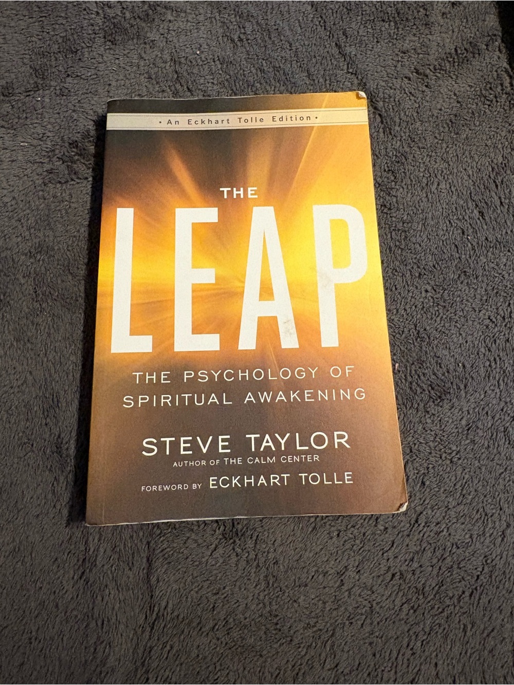 Leap : The Psychology of Spiritual Awakening by Steve Taylor (2017)